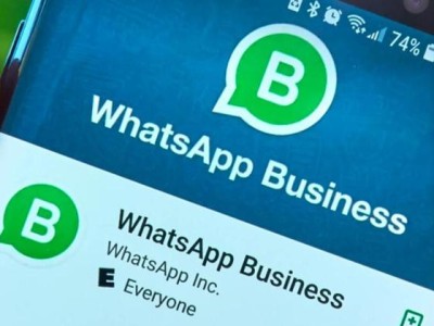 whatsapp 勾是什么意思 单勾双勾蓝勾含义与隐私设置全解析