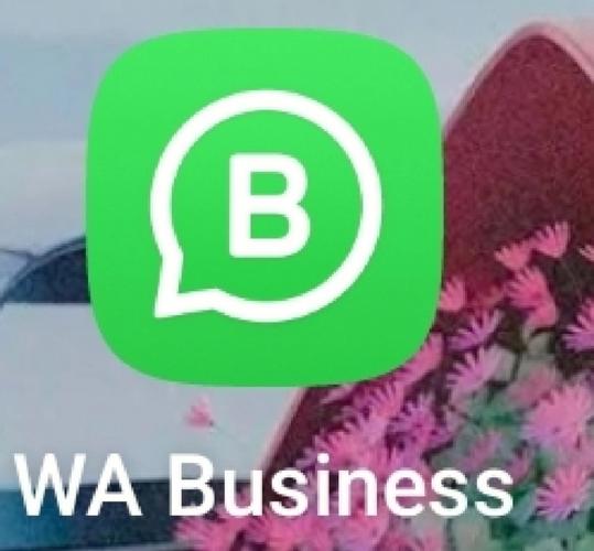 怎么加国外的whatsapp实用方法与安全注意事项 怎么加国外的whatsapp实用方法与安全注意事项