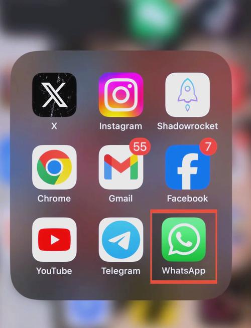 WHATSAPP官方网下载小说安全辨别指南与正版阅读建议