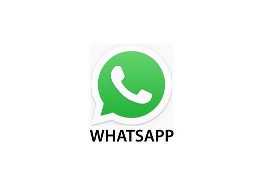 whatsapp加不了好友怎么办从网络设置到账号限制的完整排查指南