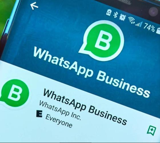 whatsapp 勾是什么意思 单勾双勾蓝勾含义与隐私设置全解析 whatsapp 勾是什么意思 单勾双勾蓝勾含义与隐私设置全解析